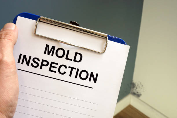 Best Water Damage & Mold Remediation  in Hermiston, OR